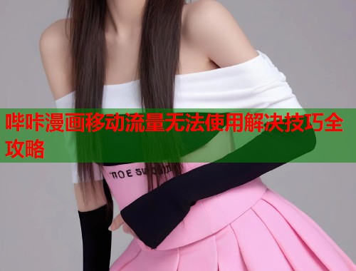 哔咔漫画移动流量无法使用解决技巧全攻略