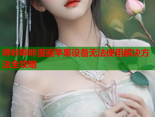 哔咔哔咔漫画苹果设备无法使用解决方法全攻略 哔咔哔咔漫画苹果设备无法使用解决方法全攻略