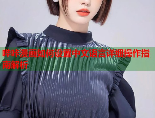 哔咔漫画如何设置中文语言详细操作指南解析