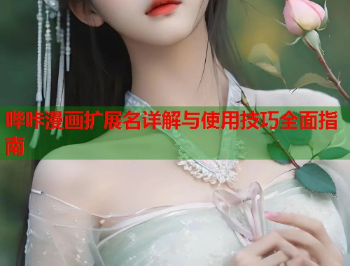 哔咔漫画扩展名详解与使用技巧全面指南