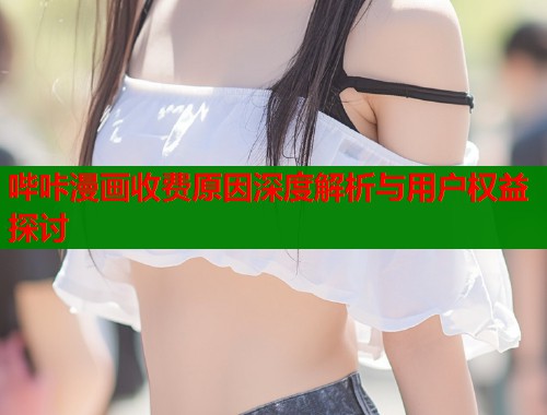 哔咔漫画收费原因深度解析与用户权益探讨