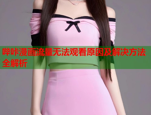 哔咔漫画流量无法观看原因及解决方法全解析